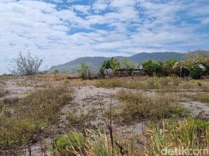 Pemkab Bantul Target 5 Tahun Gumuk Pasir Parangtritis Steril dari Jip-Pedagang Pemkab Bantul Target 5 Tahun Gumuk Pasir Parangtritis Steril dari Jip-Pedagang