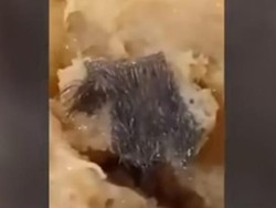 Pengunggah Video Bakso Tikus Surabaya Bisa Dipidana Bila Terbukti Hoax