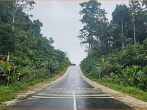 4 Ruas Jalan di Papua Rp 134 M Rampung, Anak-Anak Lebih Mudah ke Sekolah 4 Ruas Jalan di Papua Rp 134 M Rampung, Anak-Anak Lebih Mudah ke Sekolah
