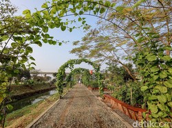 Ambisi Pemkot Bandung Sediakan Ruang Terbuka Hijau dan Wisata Gratis