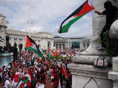 Momen Demonstran Kibarkan Bendera Palestina Saat Netanyahu Pidato di AS