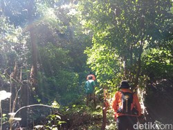 Seminggu Tak Ketemu, SAR Hentikan Pencarian Nenek Hilang di Sikka