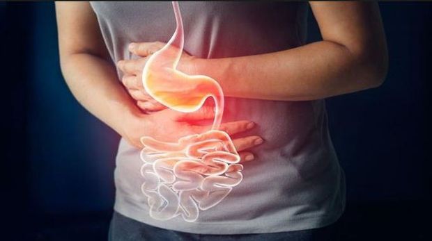 Perbedaan Maag dan Asam Lambung/Foto: Pinterest/Media Faktual Indonesia