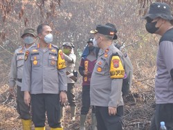 Satgas Karhutla Basahi 311 Ha Lahan di Inhu yang Terbakar
