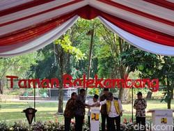 Wapres: Pemerintah Akan Terus Kembangkan Revitalisasi Ruang Terbuka Hijau