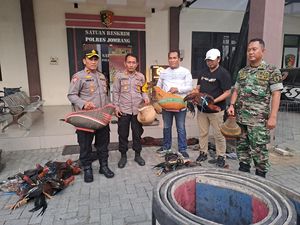 Arena Sabung Ayam Dekat Ponpes di Jombang yang meresahkan Digerebek Arena Sabung Ayam Dekat Ponpes di Jombang yang meresahkan Digerebek