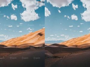 Mau Pakai Watermark Remover? Perhatikan Dulu Ini!