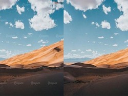 Mau Pakai Watermark Remover? Perhatikan Dulu Ini!