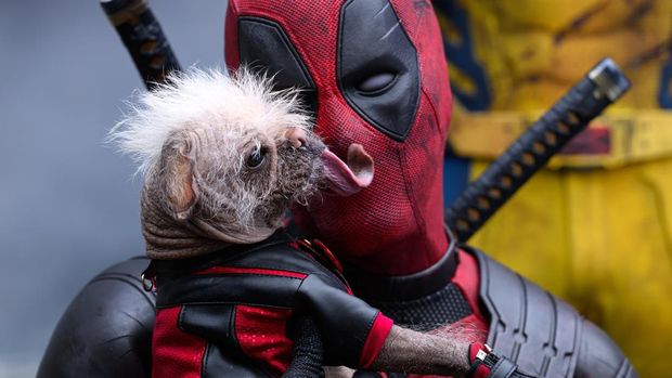 (L-R): Dogpool and Ryan Reynolds as Deadpool/Wade Wilson and Hugh Jackman as Wolverine/Logan in 20th Century Studios/Marvel Studios' DEADPOOL & WOLVERINE. Photo by Jay Maidment. © 2024 20th Century Studios / © and ™ 2024 MARVEL.