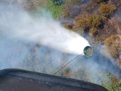 Video: Polda Sumsel Bakal Tindak Tegas Pelaku yang Sengaja Bakar Hutan