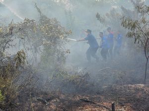 Duh! 10 Hektar Lahan di Jambi Terbakar