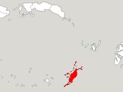Ahli Temukan Kecanggihan Orang Prasejarah Capai Tenggara RI 42.000 Tahun Lalu