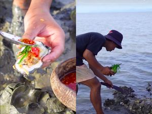 Mantap! Pria Ini Makan Oyster Langsung dari Cangkang di Karang Penuh Lumpur Mantap! Pria Ini Makan Oyster Langsung dari Cangkang di Karang Penuh Lumpur