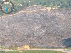 20 Hektare Lahan di Perbukitan Rokan Hulu Hangus, Diduga Dibakar 20 Hektare Lahan di Perbukitan Rokan Hulu Hangus, Diduga Dibakar