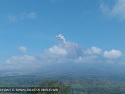Semeru Erupsi 4 Kali Hingga Siang Hari, Ketinggian Abu Vulkanik 300-800 M