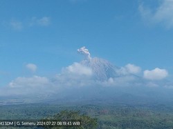 Semeru Erupsi 4 Kali Hingga Siang Hari, Ketinggian Abu Vulkanik 300-800 M