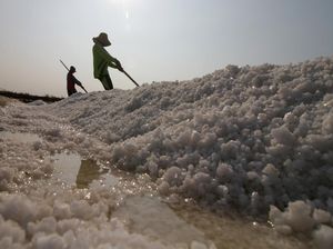 NTT Bakal Punya Tambak Garam Raksasa, Serap 25 Ribu Lebih Tenaga Kerja