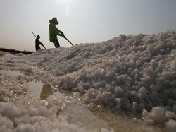 NTT Bakal Punya Tambak Garam Raksasa, Serap 25 Ribu Lebih Tenaga Kerja