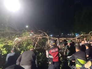 Horor Beringin Alun-alun Tumbang Timpa Pengunjung Banjarnegara Culture Heritage Horor Beringin Alun-alun Tumbang Timpa Pengunjung Banjarnegara Culture Heritage