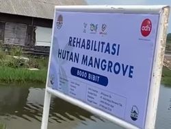 Komitmen ESG! Adhi Karya Rutin Tanam Pohon Mangrove