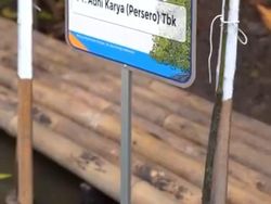 Gandeng KLHK, Adhi Karya Tanam Pohon Mangrove di Jakarta