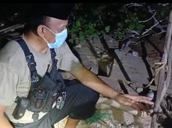 Misteri 2 Kerangka Manusia Tersangkut Pohon di Tepi Pantai Bangkalan