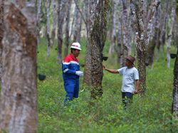 Top! PGN Sukses Tekan Emisi 598,39 Ton CO2 eq Sepanjang 2023