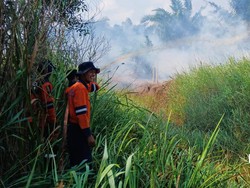 2 Hektare Lahan Semak Belukar di Desa Sungai Rambutan Ogan Ilir Terbakar