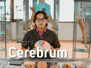 Deretan Prestasi Muhana, Dokter Lulusan UNS dengan 15 Publikasi Indeks Scopus Deretan Prestasi Muhana, Dokter Lulusan UNS dengan 15 Publikasi Indeks Scopus