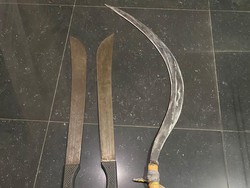 Polisi Amankan 8 Orang Diduga Tawuran di Bogor, Celurit-Pedang Disita