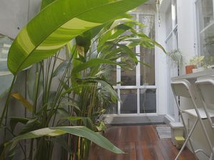 Inspirasi Taman Dalam Rumah ala Kafe, Ada Kolam Ikannya! Inspirasi Taman Dalam Rumah ala Kafe, Ada Kolam Ikannya!