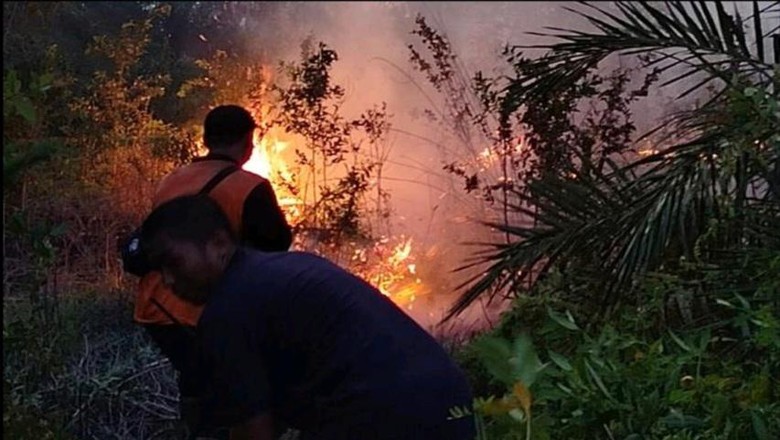 10 Hektare Lahan Perkebunan di Muba Terbakar, Dipadamkan 5 Jam