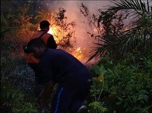 10 Hektare Lahan Perkebunan di Muba Terbakar, Dipadamkan 5 Jam