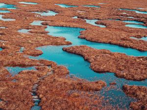 Gokil! Lahan Gambut di Skotlandia Masuk Warisan Dunia UNESCO Gokil! Lahan Gambut di Skotlandia Masuk Warisan Dunia UNESCO