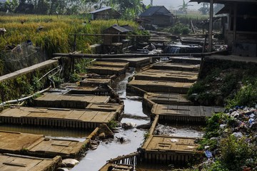 Masyarakat Manfaatkan Sungai Jadi Tempat Budi Daya Ikan