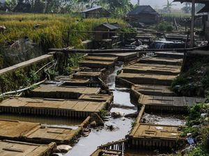 Masyarakat Manfaatkan Sungai Jadi Tempat Budi Daya Ikan