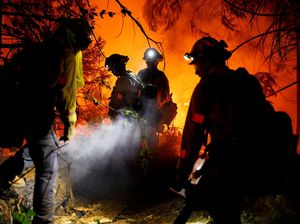 Kebakaran Hutan gegara Cuaca Ekstrem, California Membara