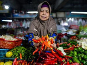 Harga Cabai Makin Pedas! Naik hingga 90 Persen Harga Cabai Makin Pedas! Naik hingga 90 Persen