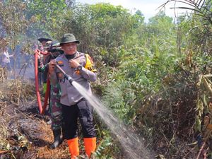 39 Ha Lahan Terbakar di Rohil Dipadamkan, 2 Pelaku Ditangkap 39 Ha Lahan Terbakar di Rohil Dipadamkan, 2 Pelaku Ditangkap
