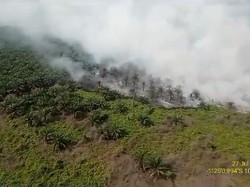 Lahan Perkebunan Sawit di Jambi Kebakaran, Begini Penampakannya dari Udara