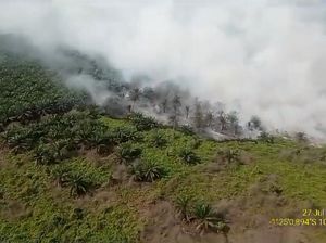 Kawasan Perkebunan Kelapa Sawit Milik Perusahaan di Muaro Jambi Terbakar Kawasan Perkebunan Kelapa Sawit Milik Perusahaan di Muaro Jambi Terbakar