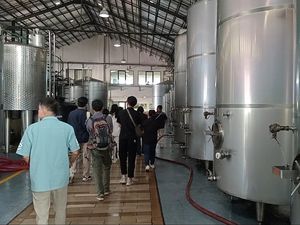 Melihat Proses Pembuatan Wine di Sababay Winery Bali