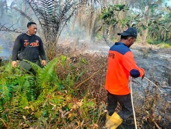 2 Titik Lahan Gambut Seluas 13 Hektare di Asahan Terbakar