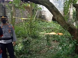 Amarah Pria Difabel Probolinggo Habisi Tetangga yang Hina Fisiknya