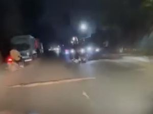 Viral Ular 3 Meter Nyeberang di Jalanan Depok Sabar Ditunggu Pengendara