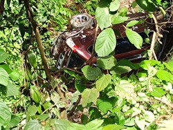 Xenia Terjun Bebas ke Jurang Sedalam 30 Meter di Jalur Gumitir Jember