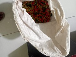 Panen Cabai Milik Orang Lain, 2 Pria Garut Diciduk Polisi