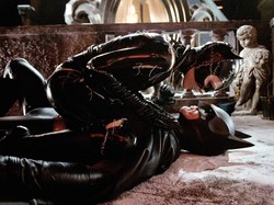 Ini Alasan Kisah Romantis Batman dan Catwoman Selalu Kandas