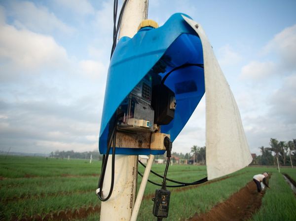 Petani di Bantul Manfaatkan Energi Listrik untuk Irigasi Sawah Saat Kemarau