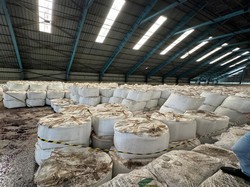 Kejagung Sita 2.254 Ton Gula Terkait Kasus Korupsi Impor Gula PT SMIP